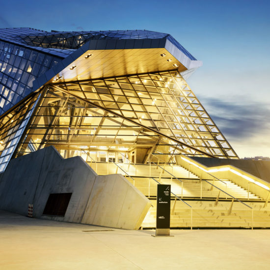 Musée des Confluences